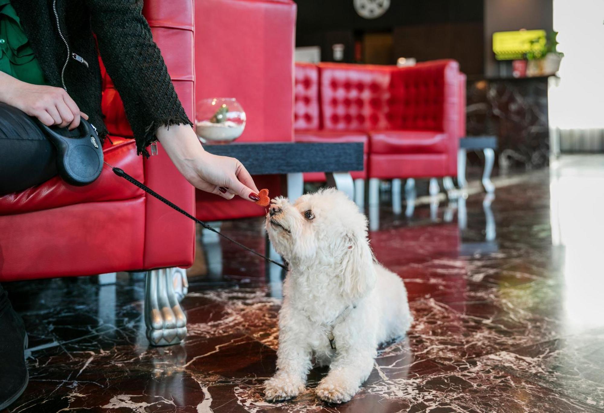 Hotel Arcotel Kaiserwasser - Nahe Der Donau 4*